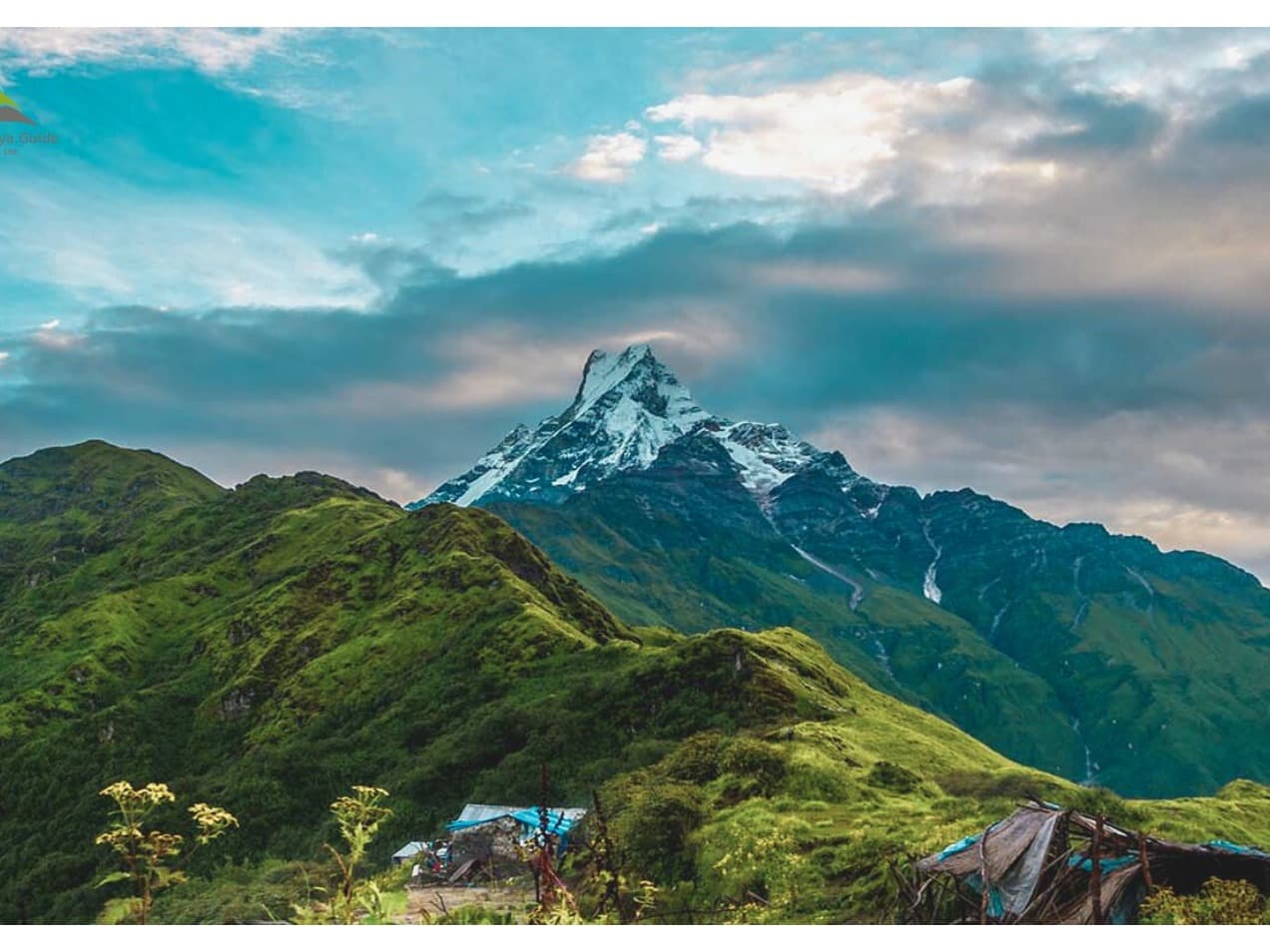 Mardi Himal Trek