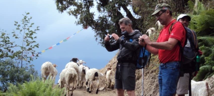 Champadevi (2,285 m) Hiking