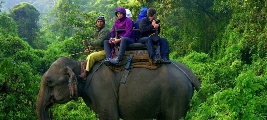 Jungle Safari in Chitwan