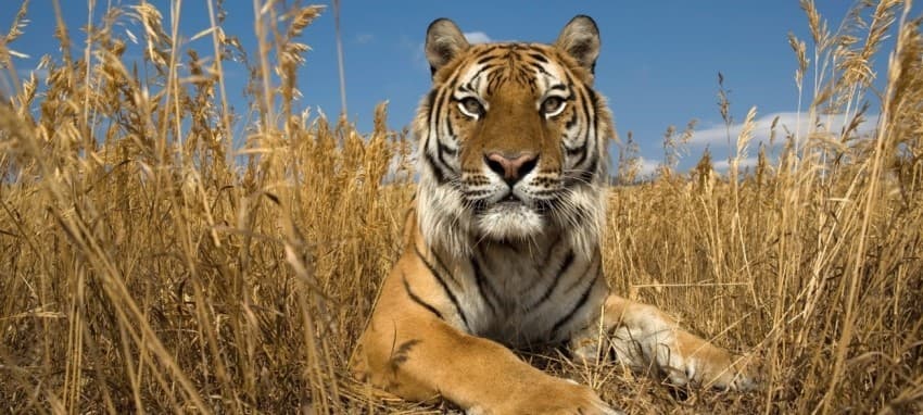 Nepal Experience Tour