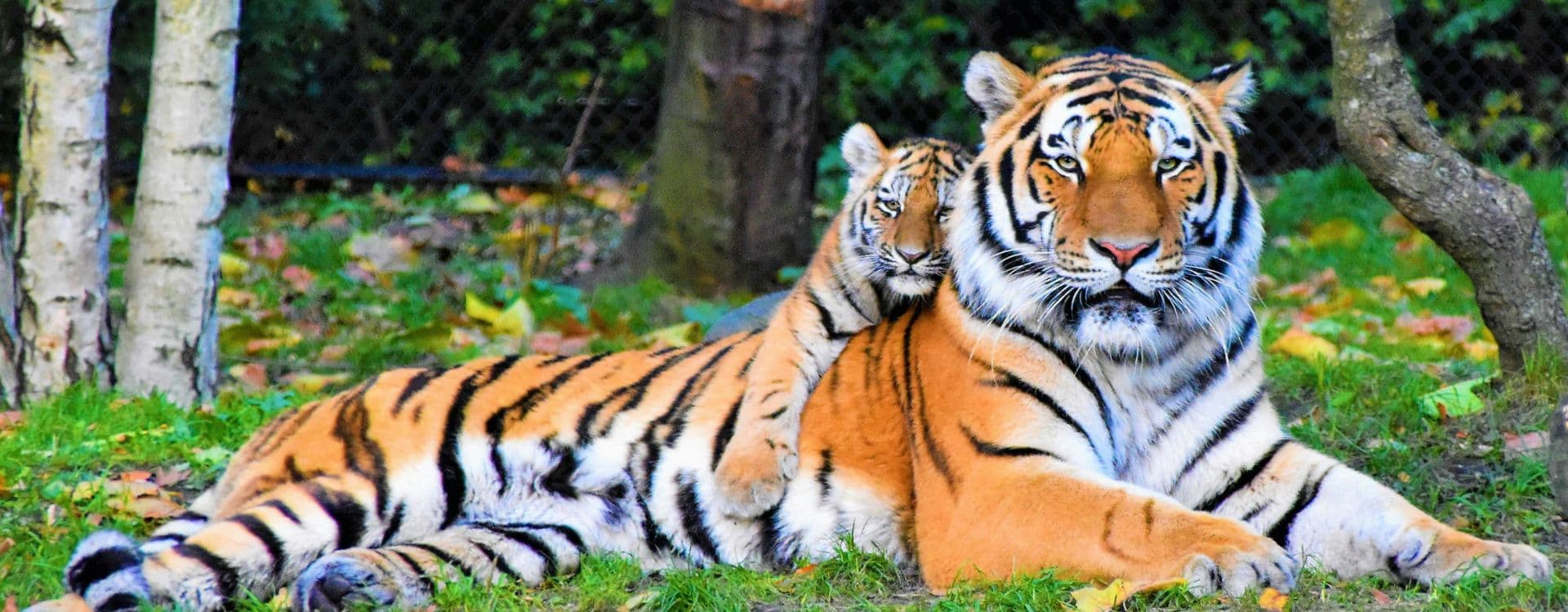 Nepal Experience Tour