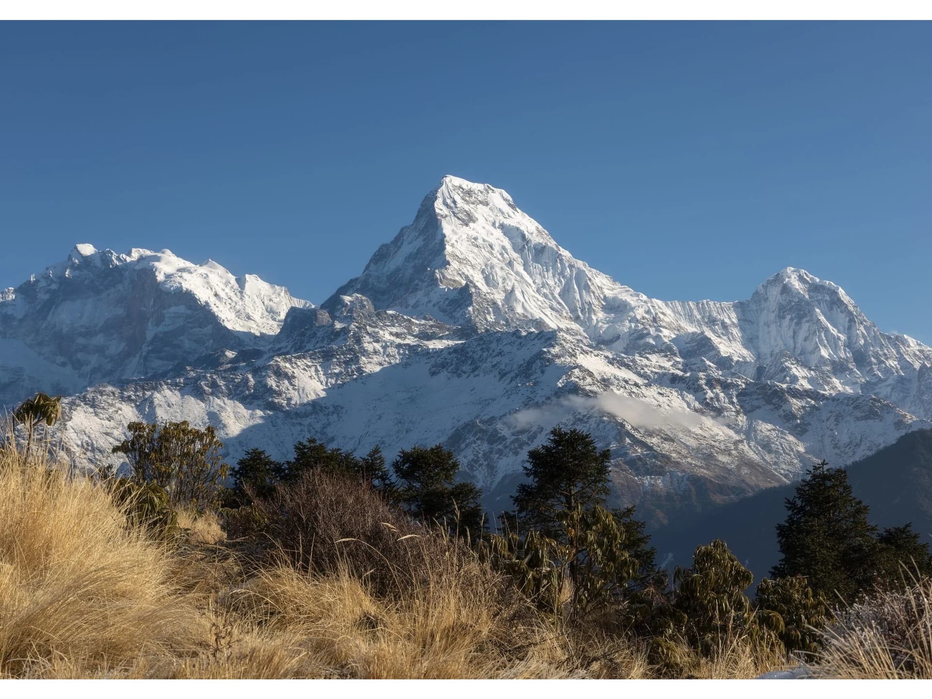 Annapurna Panorama Trek 1737365142
