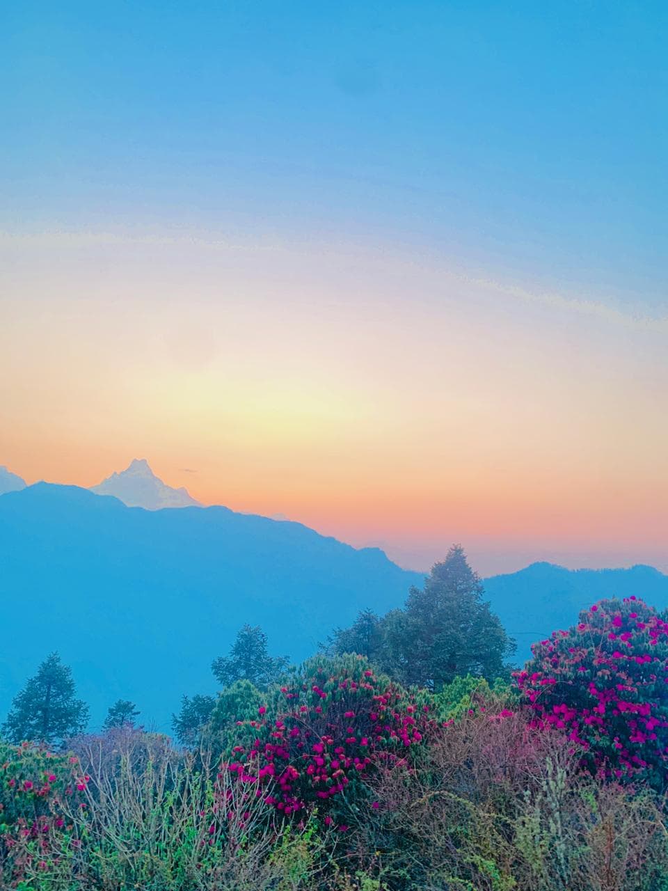 Poon hill