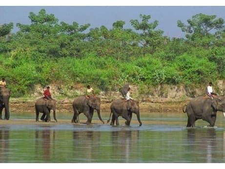 Jungle Safari in Parsa Wildlife Reserve