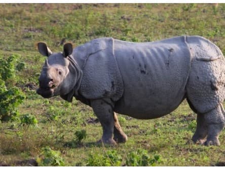 Nepal Experience Tour