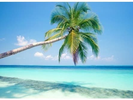 North India and Beach Tour