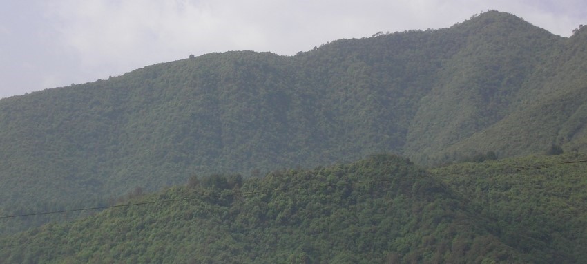 Randonnée de Nagarkot (2,195m) à Changu Narayan - Nagarkot- (2.195 m