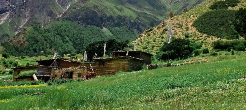 Trek du Bas Dolpo - inf