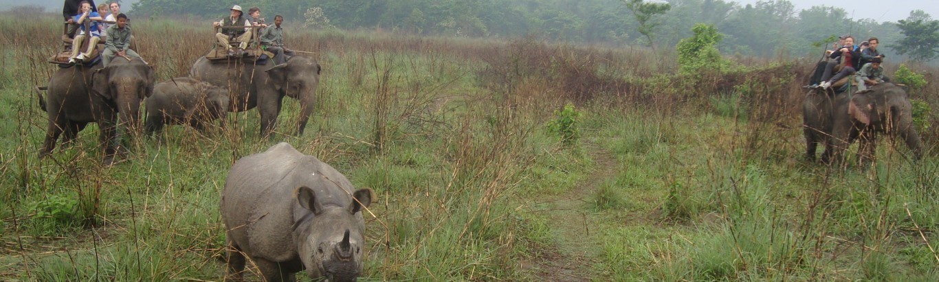 Safari au parc national de Chitwan