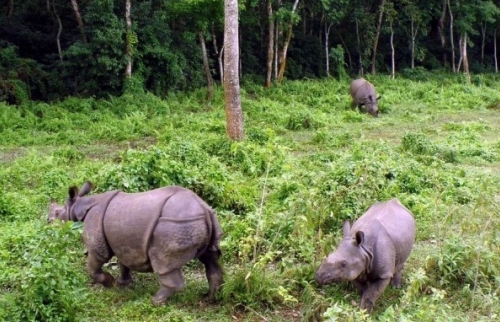 Nouveaux frais d'inscription dans les zones de conservation pour l'année 2015