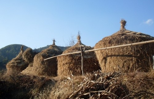 Visite du village de Chitlang