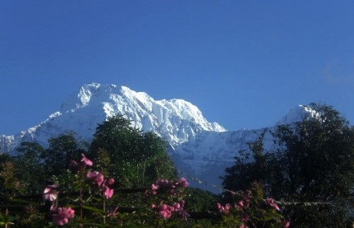 Trek de Mardi Himal