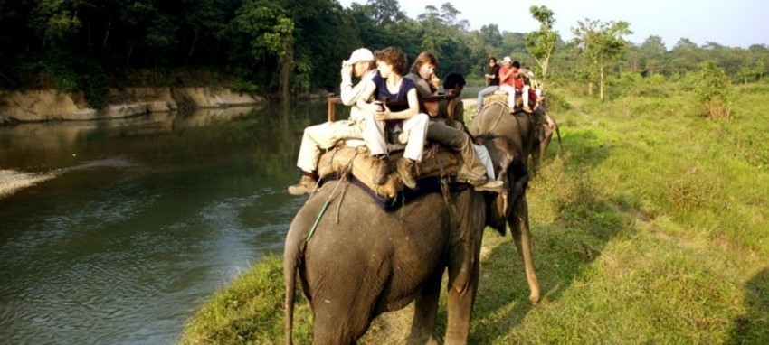 Сафари в джунглях - Jungle Safari in Chitwan